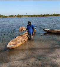 moustapha-sall.png